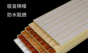 从噪声控制到声环境优化：隔音降噪工程有哪些讲究